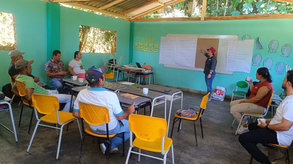 Meliponicultura en el Magdalena Medio: un modelo sostenible que transforma vidas