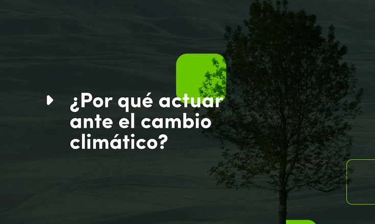 ¿Por qué actuar ante el cambio climático?